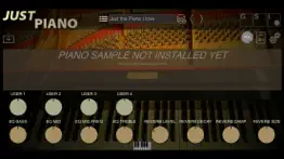 just piano problems & solutions and troubleshooting guide - 4