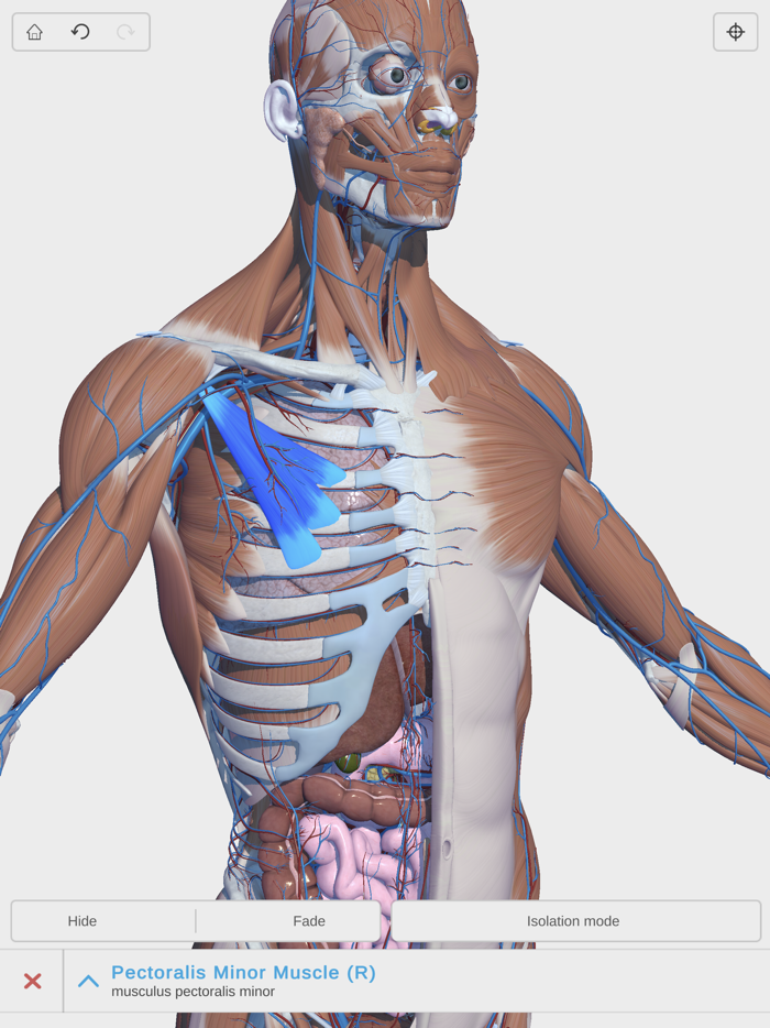 Visual Anatomy 3D - Human