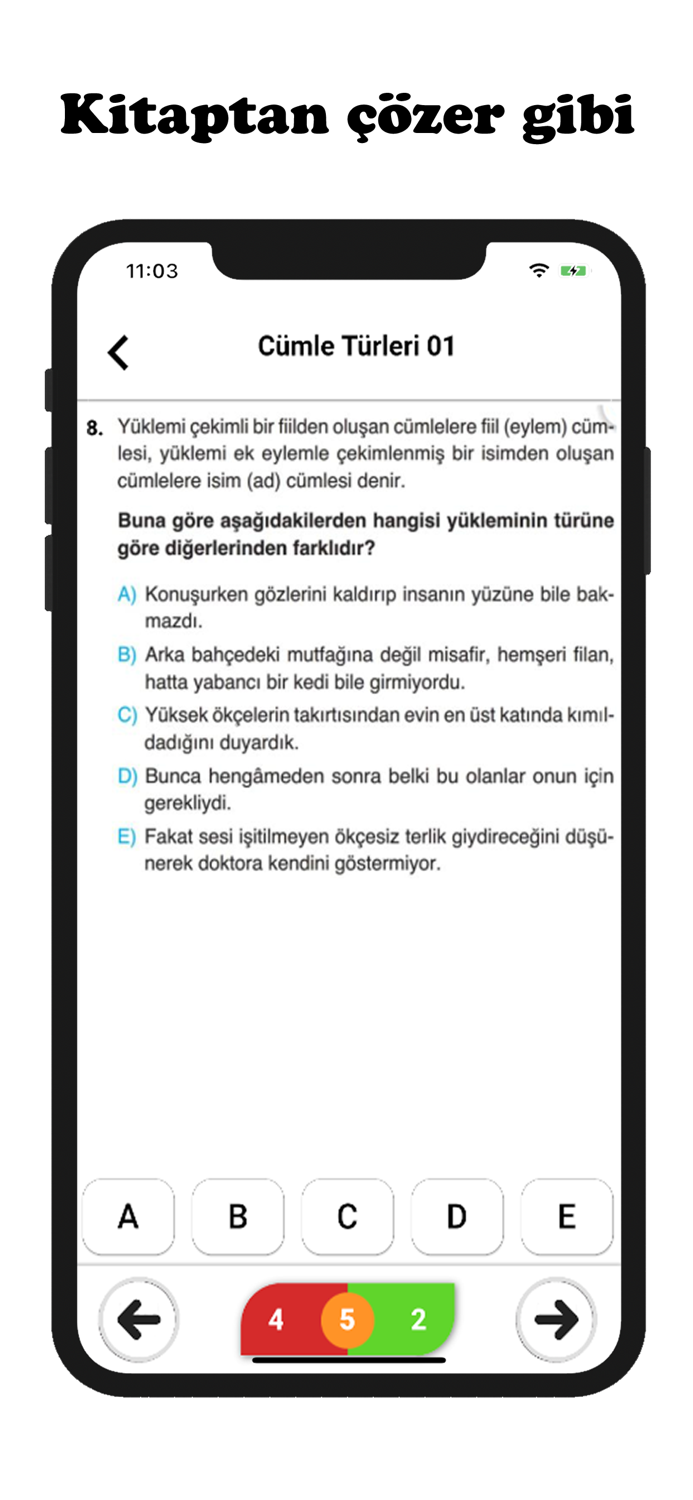 10.Sınıf Tüm Dersler