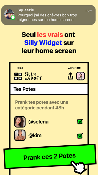 Screenshot #3 pour SILLY WIDGET