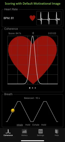 Game screenshot HeartRate+ Coherence PRO apk