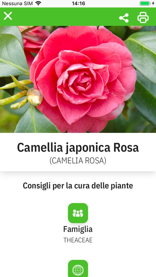 #7. Botanica on web App (iOS) 由: Florinfo Srl