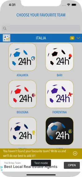 Game screenshot Calcio 24h mod apk