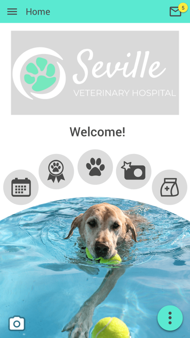 Seville Veterinary Hospital Screenshot