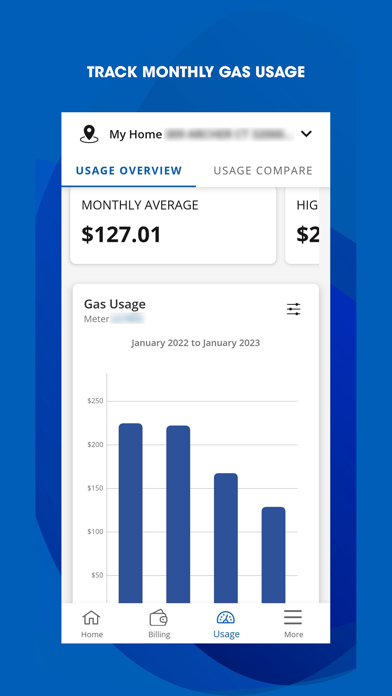 My Washington Gas Screenshot