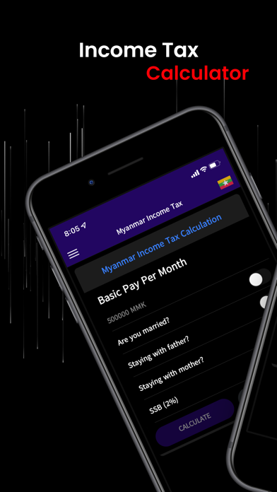 MM Income Tax Screenshot