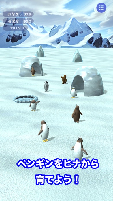 ヒナから育てるペンギンのおすすめ画像1