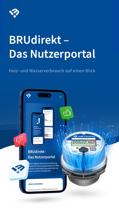 BRUdirekt Energie-Monitoring Screenshot