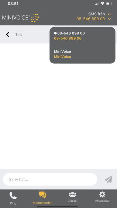 MiniVoice Screenshot