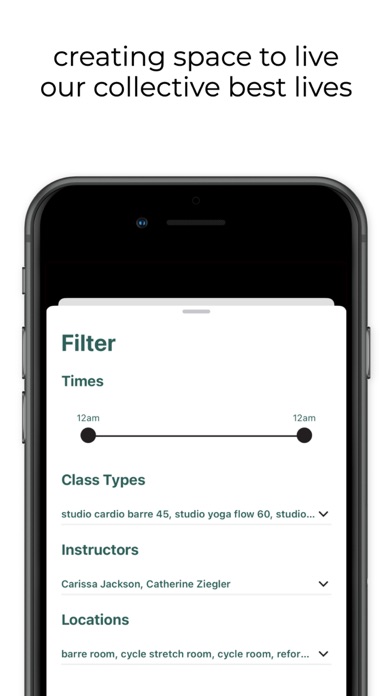 The Studio Healdsburg Screenshot