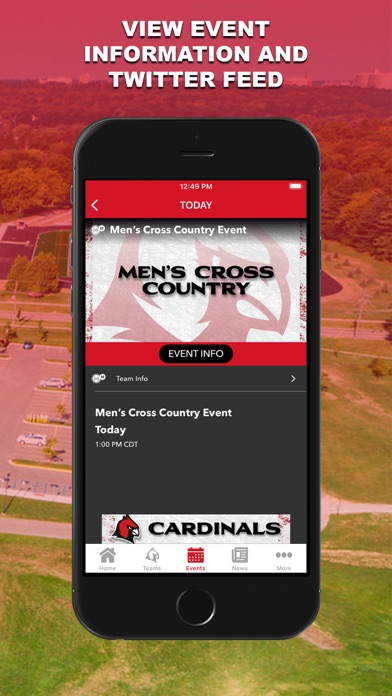 Concordia Ann Arbor Cardinals Screenshot