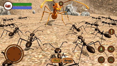 アリ 昆虫 生命 サバイバル 戦争のおすすめ画像2