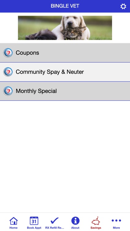 Bingle Vet screenshot-4