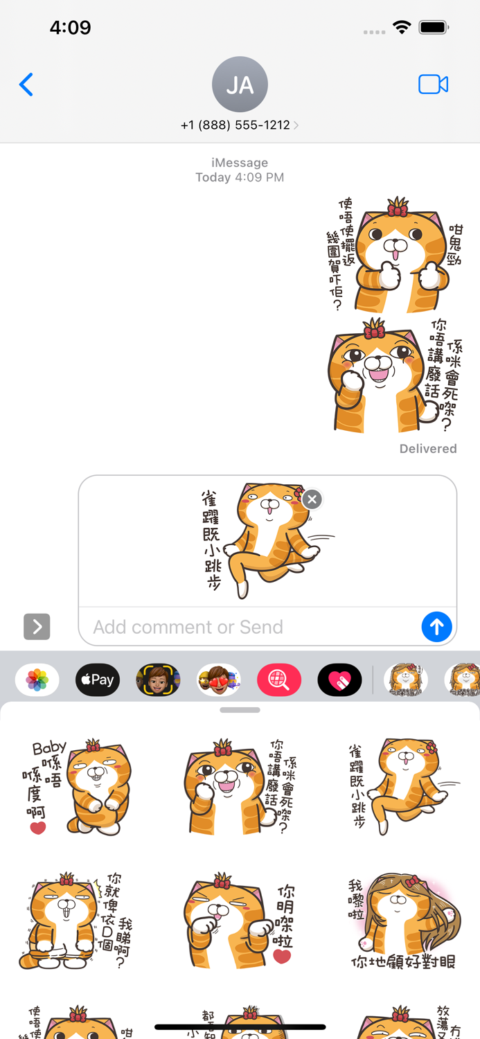 白爛貓 24 一朵美麗的阿花 HK