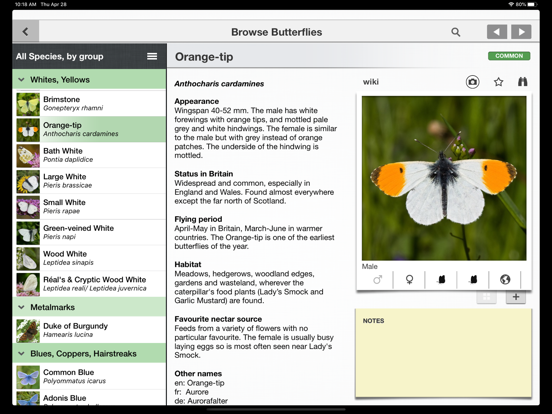 Screenshot #4 pour Butterflies & Day Moths UK