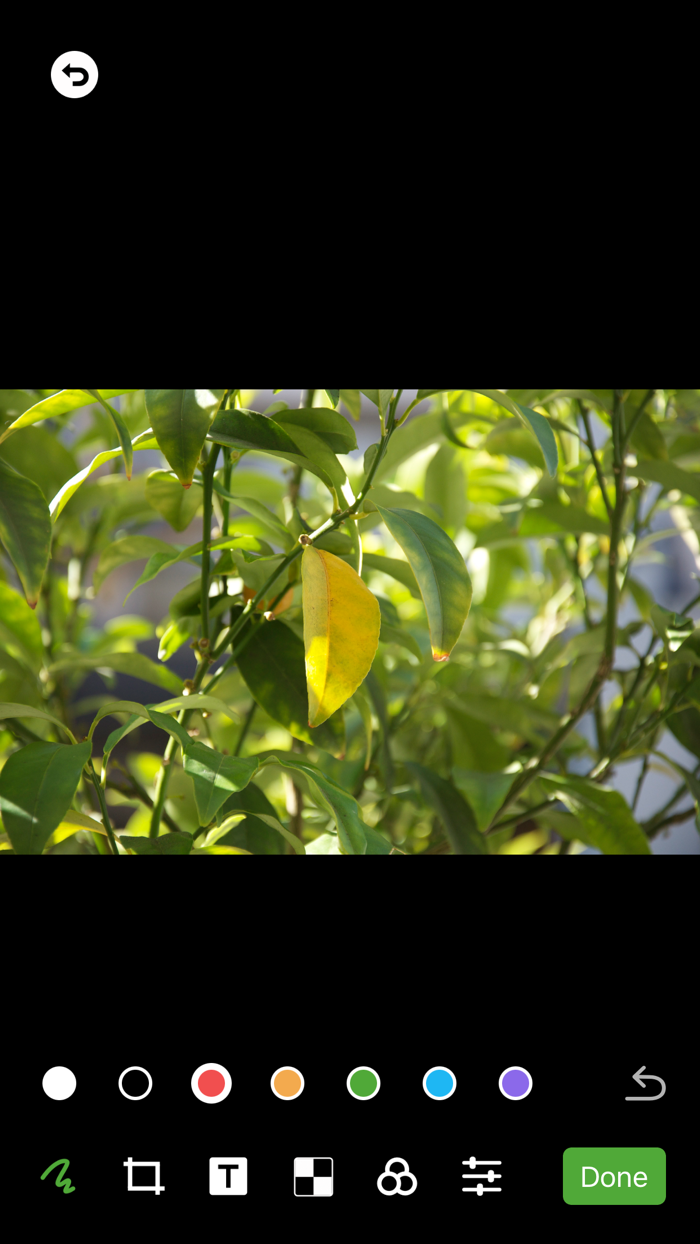 水印相机-简单好用