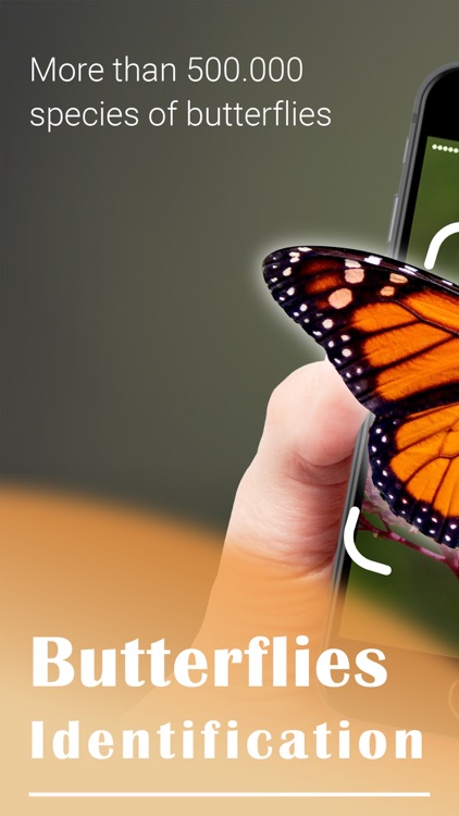 Butterfly Scanner - Butter ID by Plant Identification - Picture Identifier  Company Limited
