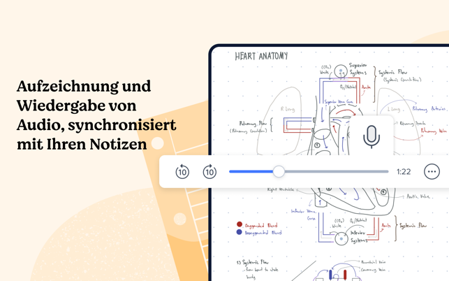 ‎Notability: Notizen, PDF Screenshot