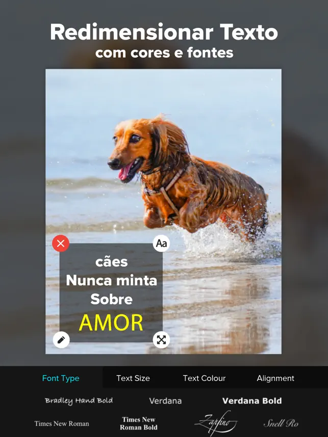 Redimensionar vídeo foto InSiz_4