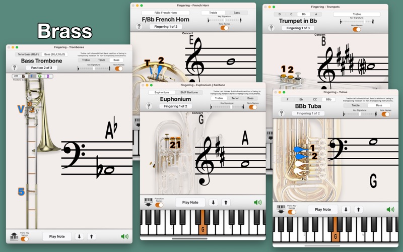 fingering 2 problems & solutions and troubleshooting guide - 3