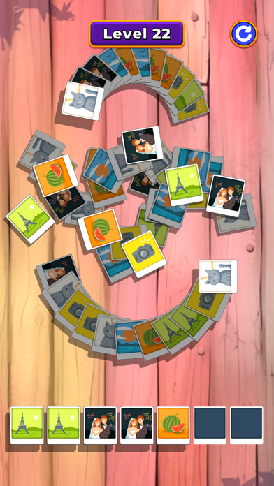 Photo Match! Screenshot