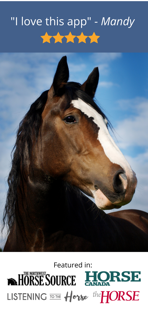 Dressage Hero Horse Riding screenshot 5