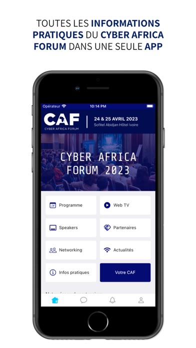 Cyber Africa Forum Screenshot