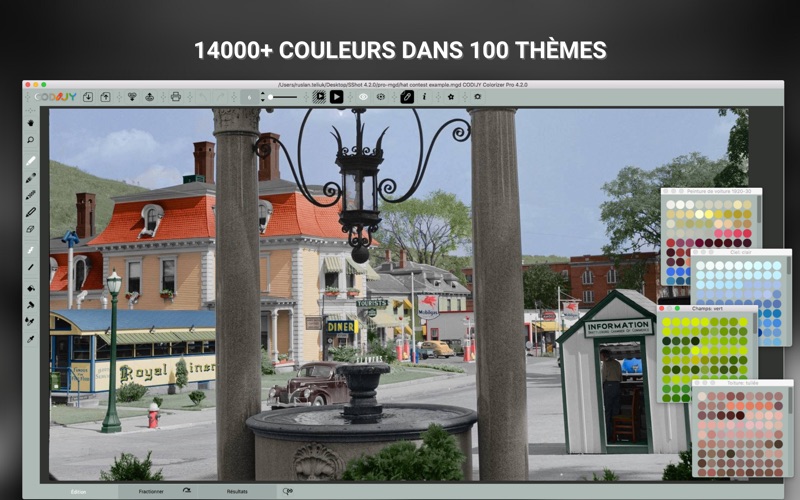 Screenshot #3 pour CODIJY Colorizer Pro