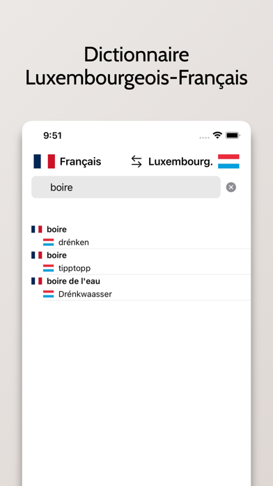Luxembourgeois-Français Screenshot