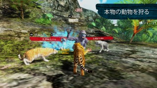 The Tiger Online RPG Simulatorのおすすめ画像6