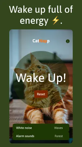 Game screenshot CatNapp - Timer for power naps hack