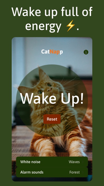 CatNapp - Timer for power naps