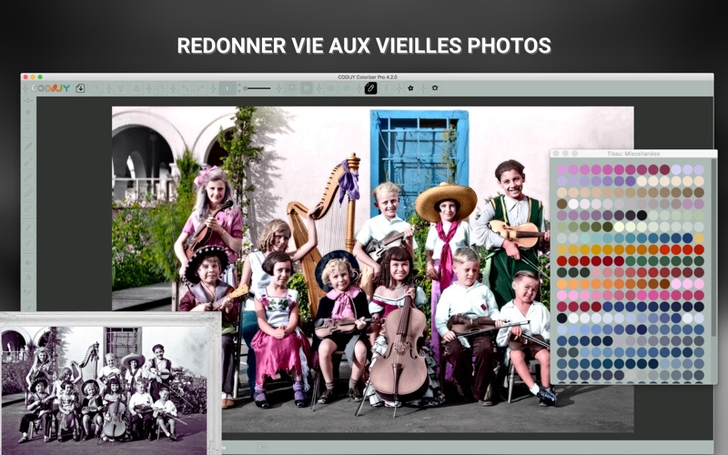Screenshot #1 pour CODIJY Colorizer Pro