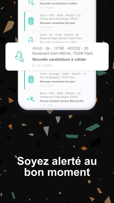 Manda (ex Flatlooker) Screenshot
