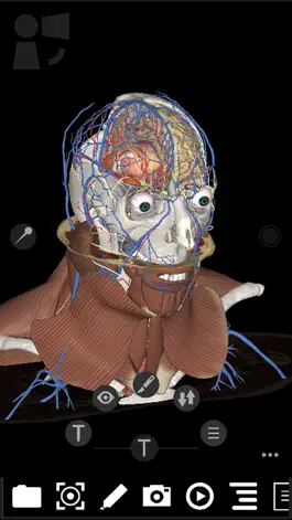 Game screenshot 3Dissect Head and Neck hack
