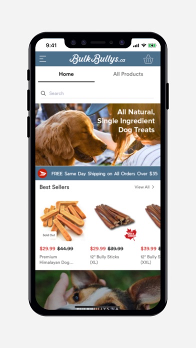 BulkBullys.ca Screenshot