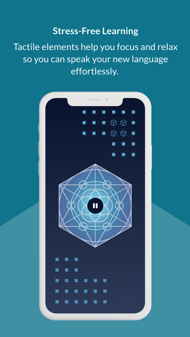 Languages with Michel Thomas Screenshot