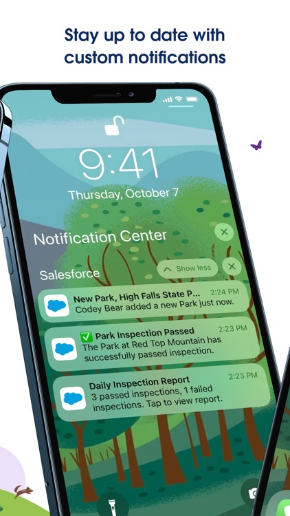 Salesforce screenshot-4