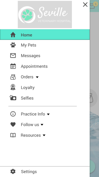 Seville Veterinary Hospital Screenshot