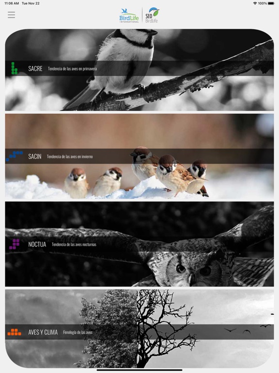 Screenshot #4 pour Seguimiento SEO Birdlife