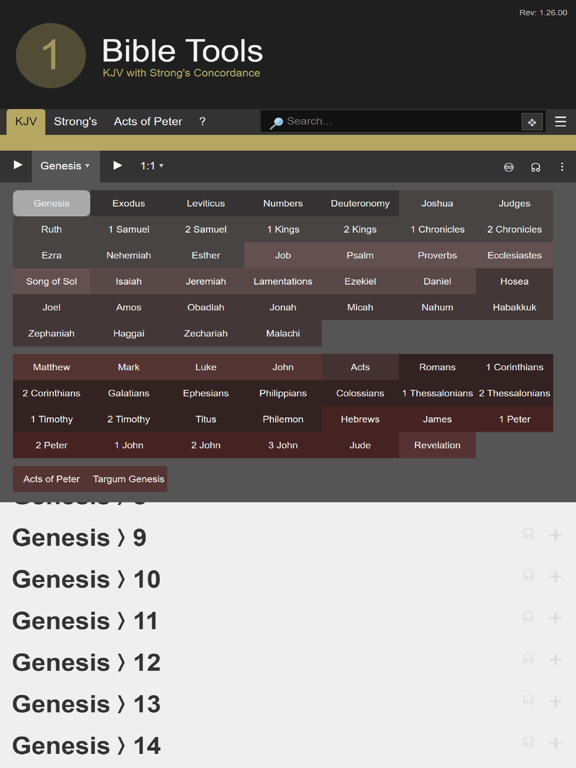 ONE Bible iPad screenshot 2 - Book app