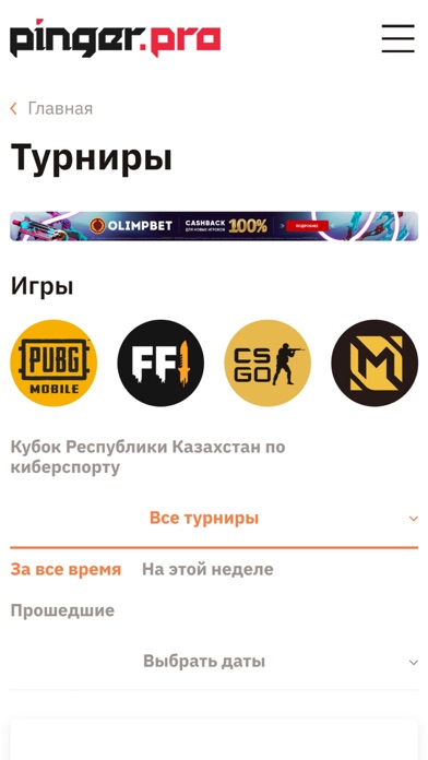 Pinger.Pro Screenshot