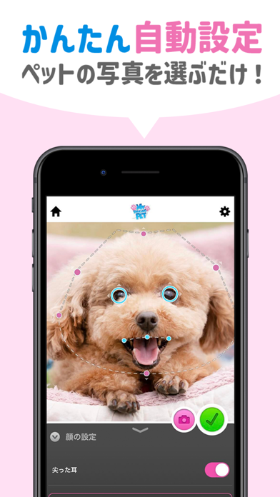 おしゃべりペット:犬や猫の面白動画メーカー・Pet写真加工のスクリーンショット - 3