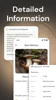 mushroom identification id iphone screenshot 3