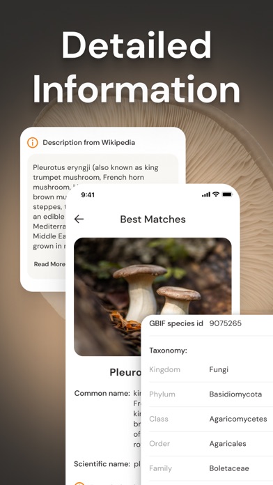 Mushroom Identification ID Screenshot