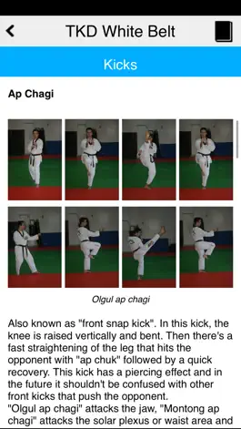 Game screenshot The Taekwondo White Belt hack