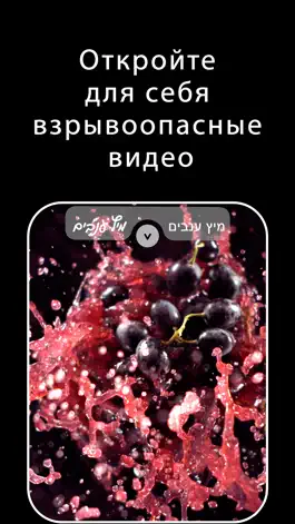 Game screenshot Кафе иврит: Меню hack