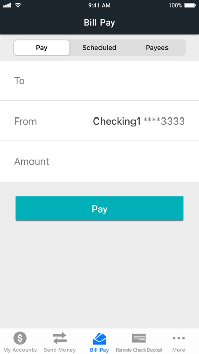 Rave Financial Screenshot