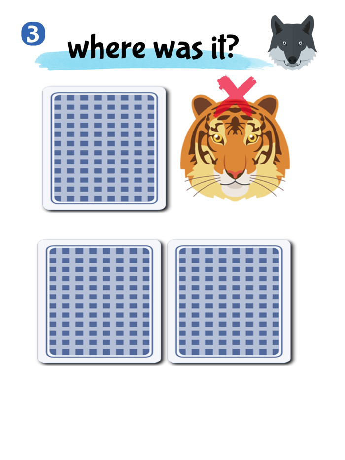 Brain Test Visual Memory