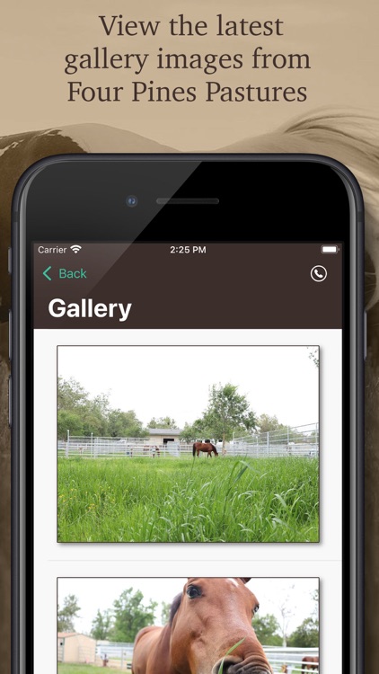 Four Pines Pastures screenshot-5